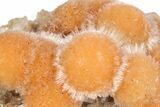 Vibrant Peach Thomsonite on Sparkling Heulandite - India #382289-2